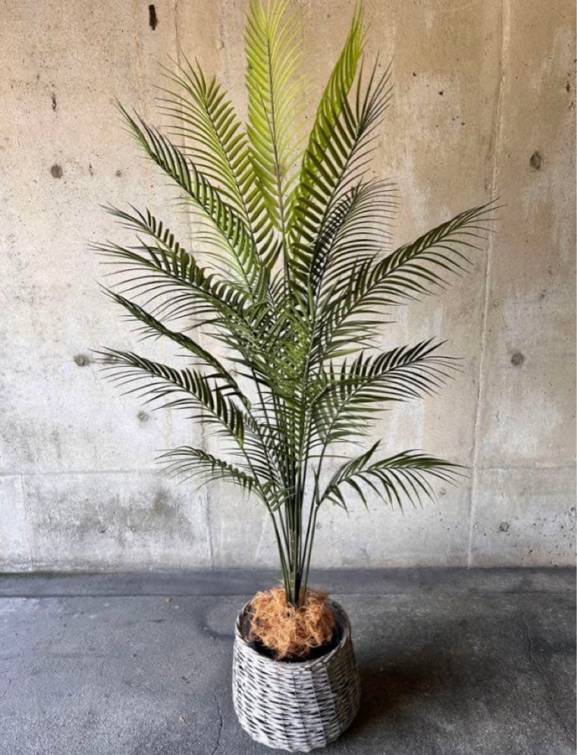 光触媒　人工観葉植物　ウォールグリーン　フェイクグリーン　アレカヤシ15060